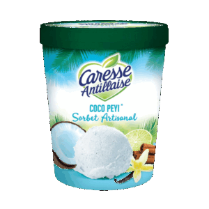 Sorbet COCO PEYI
