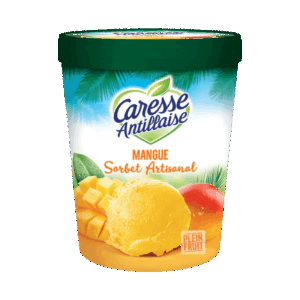 Sorbet MANGUE